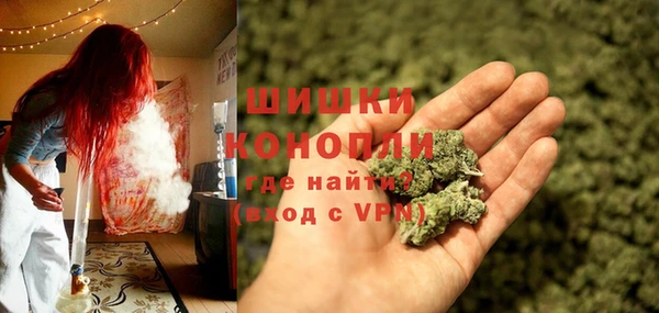 крисы Балахна