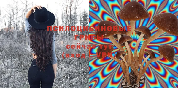 гашик Балабаново