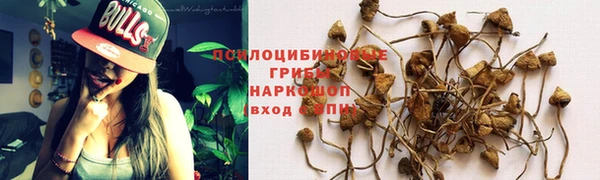 мяу мяу кристалл Арсеньев